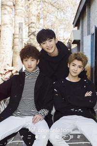 十二星宿[男子演唱團體]