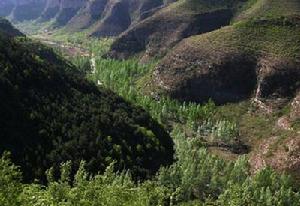 戈登遺址 戈登遺址