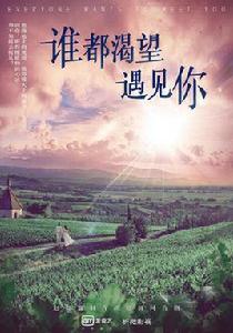 誰都渴望遇見你 誰都渴望遇見你