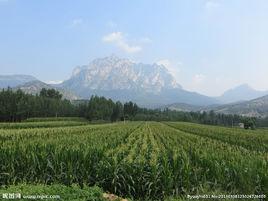 登封九頂蓮花山 登封九頂蓮花山