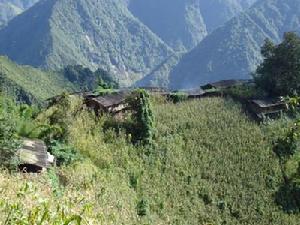 俄馬各自然村 俄馬各自然村