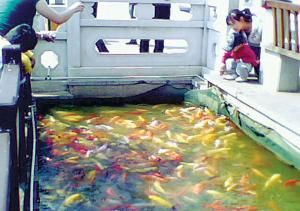 月牙塘公園 月牙塘公園