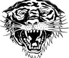 虎頭引子 虎頭引子