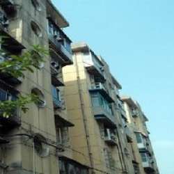 城開紫竹園 城開紫竹園