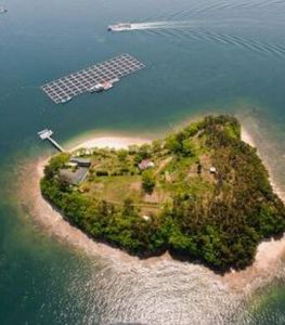 忠清南道 忠清南道