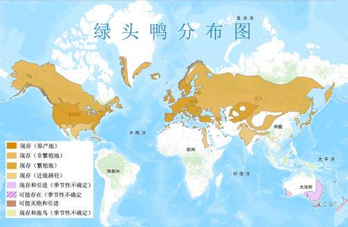 綠頭鴨分布圖