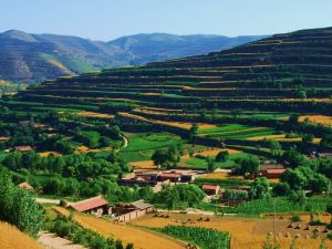 趙墩溝梯田生態風景區 趙墩溝梯田生態風景區