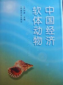 齒擬釘螺 齒擬釘螺