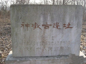 九江縣神墩遺址 九江縣神墩遺址