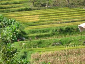 拉么箐村 拉么箐村