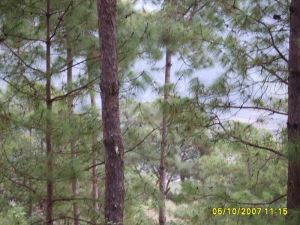 自可咱小村 自可咱小村