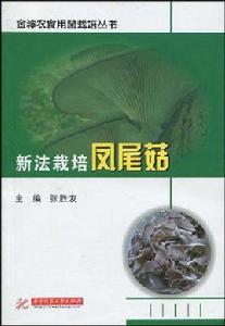 新法栽培鳳尾菇 新法栽培鳳尾菇