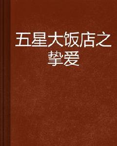 五星大飯店之摯愛 五星大飯店之摯愛