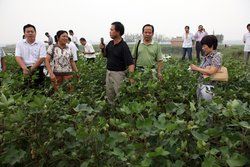 鑫秋二號 鑫秋二號