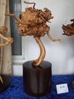 吳家榮[根雕藝人]