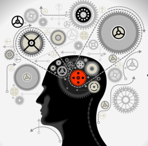 3D腦神經動態檢查系統 3D腦神經動態檢查系統