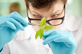 最大殘留量 最大殘留量