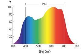 光子積分通量率 光子積分通量率
