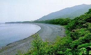 光葉蛇葡萄,女萎,山...