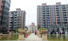 天鵝第一城 天鵝第一城