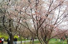 北京玉淵潭公園