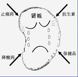 （圖）藥物治療