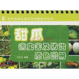 甜瓜病蟲害及防治原色圖冊 甜瓜病蟲害及防治原色圖冊