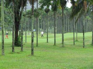 南燕灣高爾夫球會 南燕灣高爾夫球會