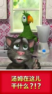 會說話的鸚鵡皮埃爾 會說話的鸚鵡皮埃爾