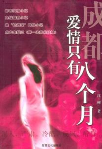 成都,愛情只有八個月 成都,愛情只有八個月