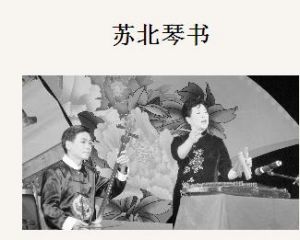 蘇北琴書 蘇北琴書
