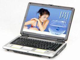 東芝SatelliteM100PSMA0Q-02D003(薄霧灰) 東芝SatelliteM100PSMA0Q-02D003(薄霧灰)