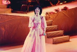 《多少相思無從寄》 《多少相思無從寄》