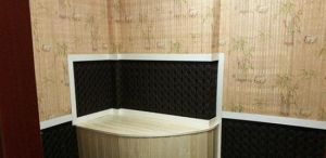 芮皇養生文化館