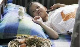 小小FU蛋 小小FU蛋