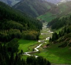 夏牧場乃林河 夏牧場乃林河