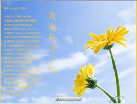 黃菊花開了 黃菊花開了