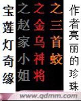 寶蓮燈奇緣外傳之趙家小姐 寶蓮燈奇緣外傳之趙家小姐