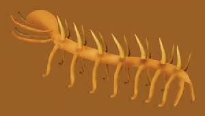 澄江古生物化石群