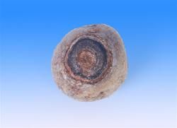 中國奇石收藏鑑賞全集 中國奇石收藏鑑賞全集