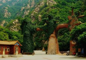 八仙山國家級自然保護區 八仙山國家級自然保護區