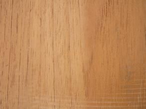 西班牙柏木 西班牙柏木