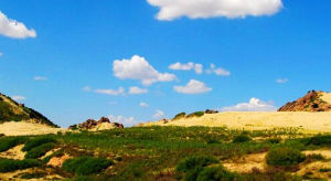 勃隆克沙漠旅遊區 勃隆克沙漠旅遊區