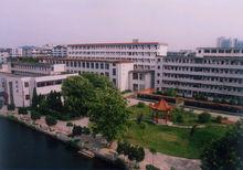 橫江村[廣東省廣州市番禺區沙頭街下轄村]