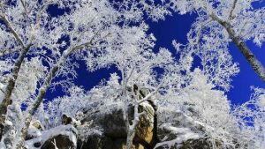 亞布力虎峰嶺風景區 亞布力虎峰嶺風景區