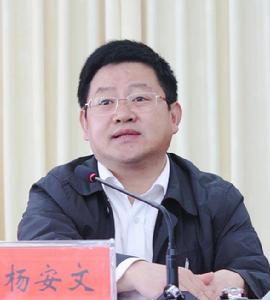 楊安文[西藏拉薩市副市長]