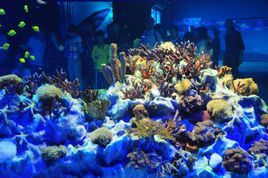 成都海洋極地公園 成都海洋極地公園