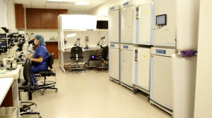 滿分胚胎實驗室