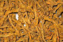 圖1 雅連成品圖