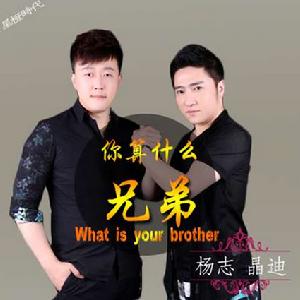 你算什麼兄弟 你算什麼兄弟